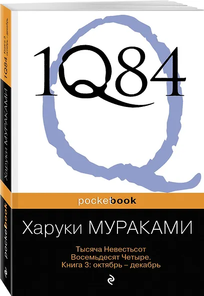 1Q84. Тысяча Невестьсот Восемьдесят Четыре. Книга 3: Октябрь-декабрь - фото 3