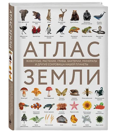 Атлас Земли. Животные, растения, грибы, бактерии, минералы и другие сокровища нашей планеты - фото 3