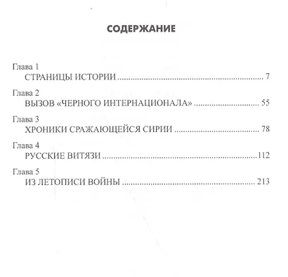Сирия в огне. Глазами фронтовых корреспондентов "Красной звезды" - фото 2