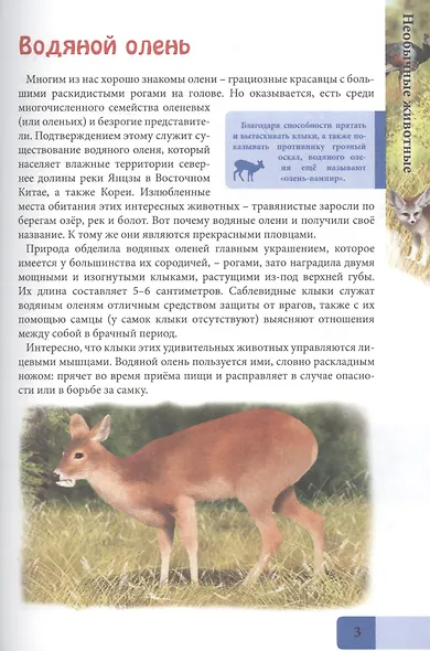 Необычные животные. Энциклопедия - фото 3