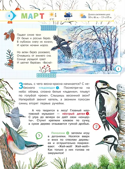 Энциклопедия для мальчиков и девочек. Наша природа - фото 5