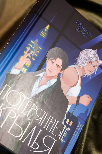 Потерянные крылья - фото 9