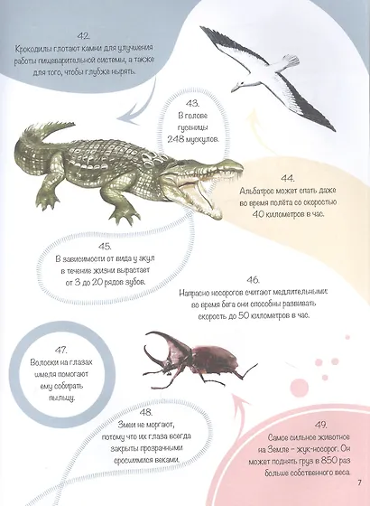 Энциклопедия на каждый день. 365 фактов о животных. глянц. ламин 215х288 - фото 4
