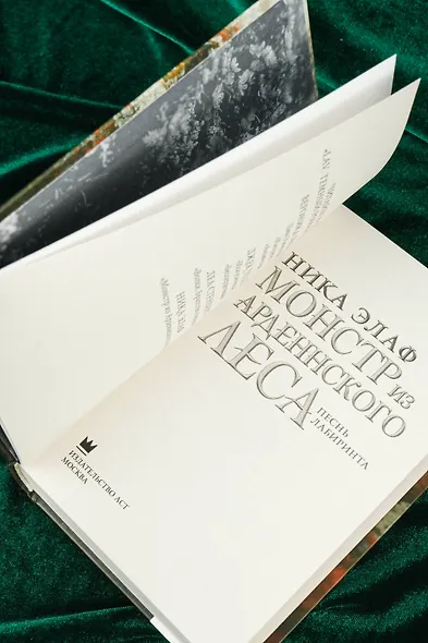 Монстр из Арденнского леса. Песнь лабиринта - фото 9