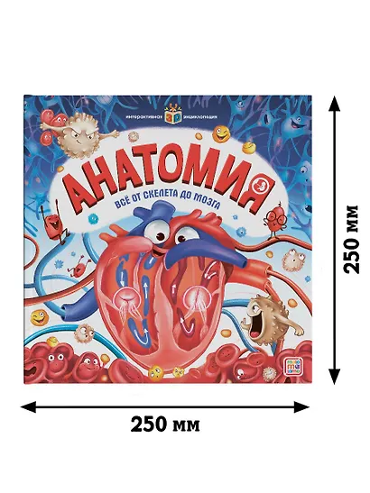 Анатомия. Книжка-панорамка - фото 7