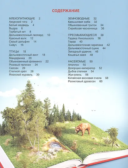 ЭНЦИКЛОПЕДИЯ ДЛЯ ДЕТЕЙ новые. КРАСНАЯ КНИГА РОССИИ - фото 5