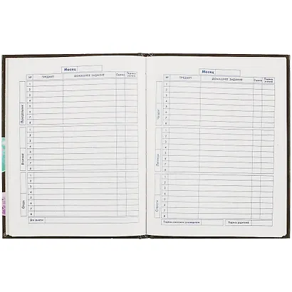 Дневник для старших классов Феникс+, "Игры русалок" - фото 2