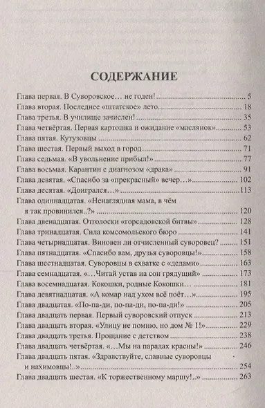 Суворовский алый погон - фото 2