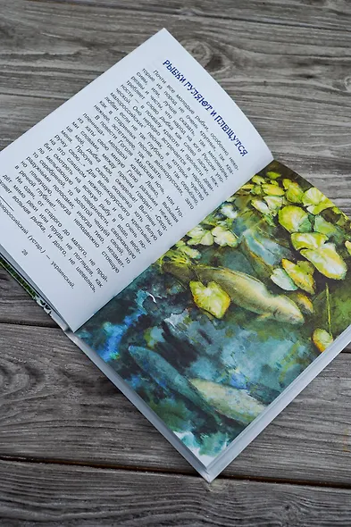 Рассказы о природе - фото 9