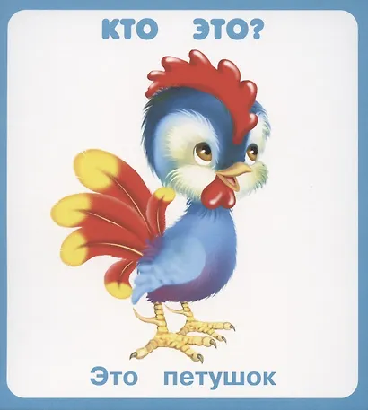 Кто это, что это? Набор карточек - фото 2