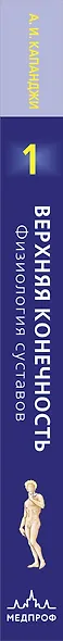 Верхняя конечность. Физиология суставов (обновленное издание) - фото 5