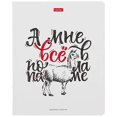 Тетрадь в клетку Hatber, "Ой, всё!", 48 листов, в ассортименте - фото 1