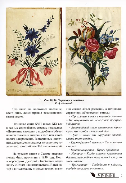 Тайный язык цветов в искусстве модерна - фото 7