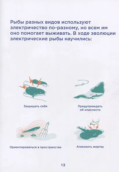 Электрические рыбы - фото 4