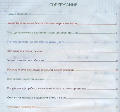 Как одна маленькая клетка изменила целый мир и что такое фотосинтез? - фото 2