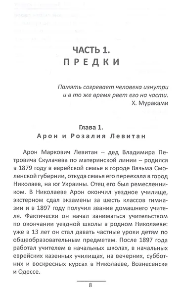 VLADI. Владимир Скулачев - фото 3
