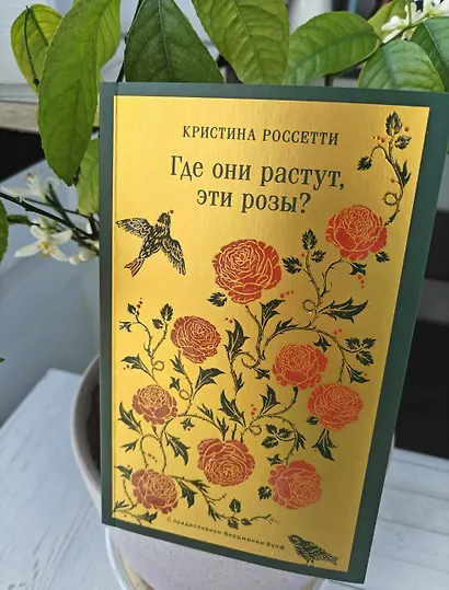 Где они растут, эти розы? - фото 12