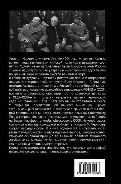 Как я воевал с Россией - фото 2