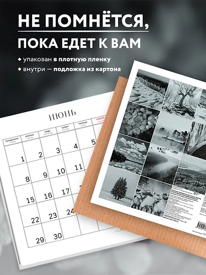 Монохром. Пронзительная красота России в фотографиях Ивана Дементиевского. Календарь настенный на 16 месяцев на 2026 год (300х300 мм) - фото 4