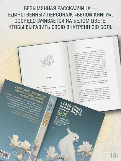 Белая книга - фото 5