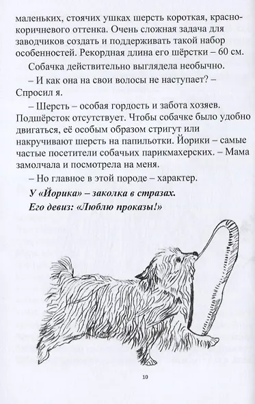 Собачки-задачки - фото 2