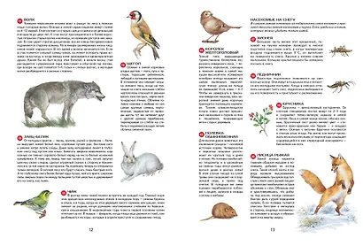 Времена года. Иллюстрированная энциклопедия - фото 4
