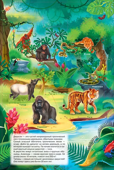 Животные - фото 3