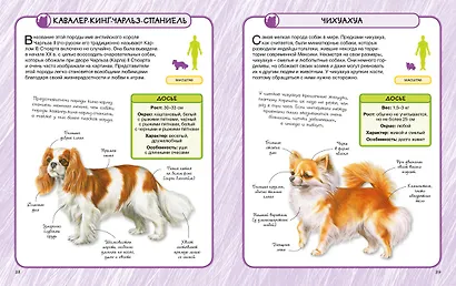 Собаки - фото 5