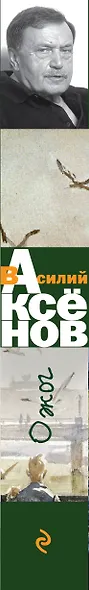 Ожог - фото 5