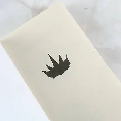 Корона из земли и огня - фото 6