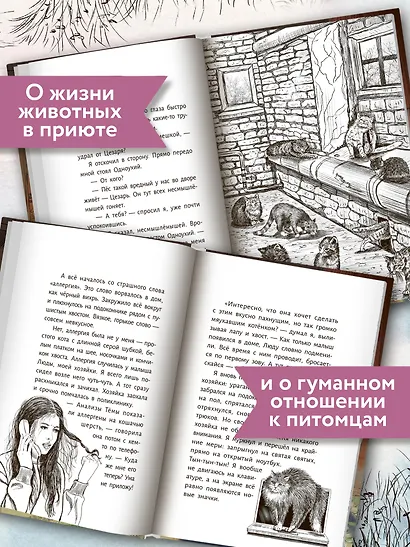 Когда наступит завтра - фото 4