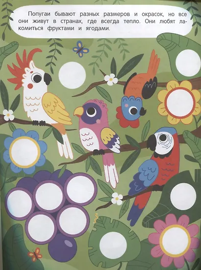 Жаркие страны: книжка с наклейками (96 наклеек) - фото 4