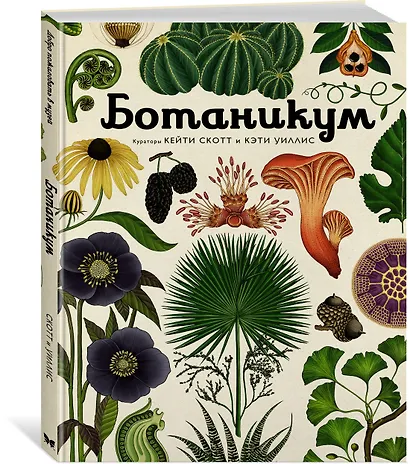 Ботаникум - фото 3