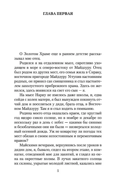 Золотой Храм - фото 10