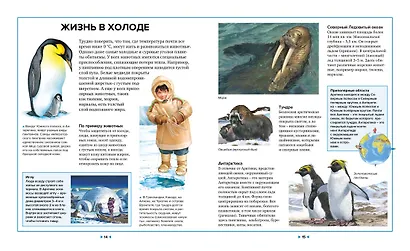 Иллюстрированная энциклопедия животных - фото 5