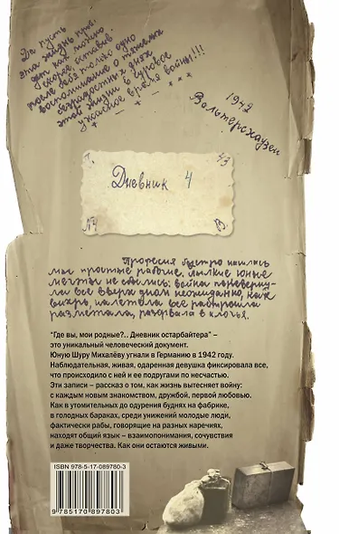 Где вы, мои родные? Дневник остарбайтера - фото 2