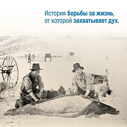 Станция 81°44?.Триумф и трагедия полярной экспедиции лейтенанта Адольфа Грили - фото 7