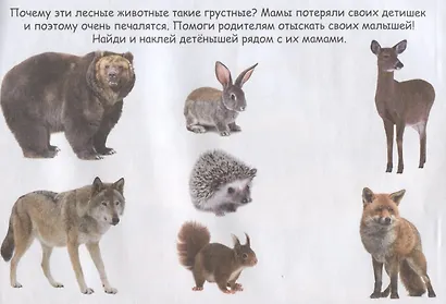 Маленькие зверята - фото 2