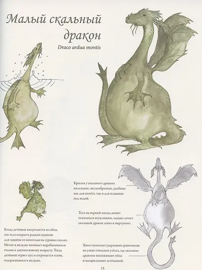 Северные драконы и искусство их обнаружения - фото 3