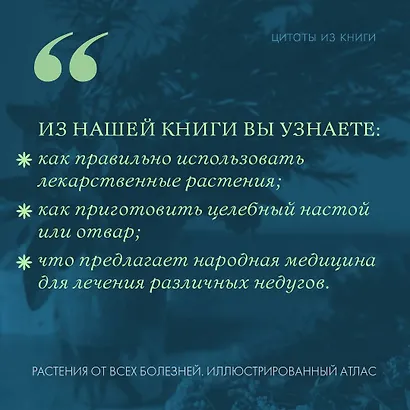 Растения от всех болезней. Иллюстрированный атлас - фото 4