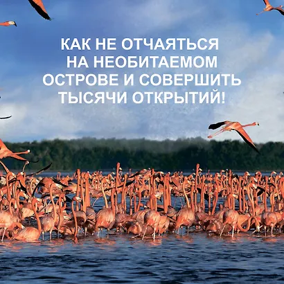Остров тысячи тайн. Невероятная история жизни двух ученых на необитаемом острове - фото 3