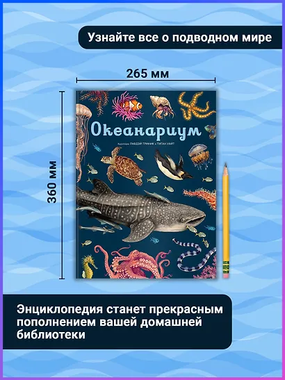 Океанариум - фото 6