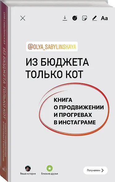 Из бюджета только кот. Книга о продвижении и прогревах в инстаграме - фото 3