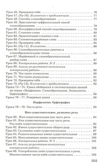 Русский язык. 6 класс. Методическое пособие. Тематическое и поурочное планирование к учебнику под редакцией Е.А. Быстровой «Русский язык» - фото 4