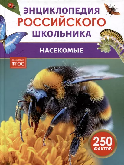 Насекомые. Энциклопедия российского школьника. 250 фактов - фото 1