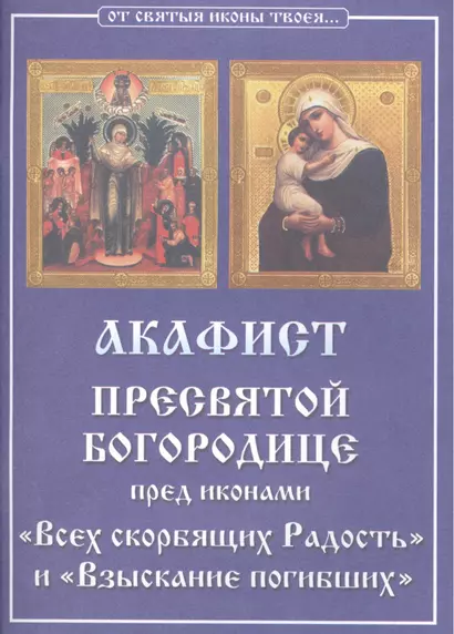 Акафист Пресвятой Богородице пред иконами "Всех скорбящих Радость" и "Взыскание погибших" - фото 1