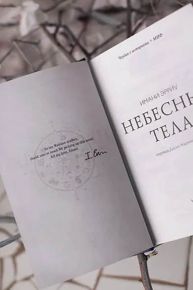 Небесные тела - фото 11