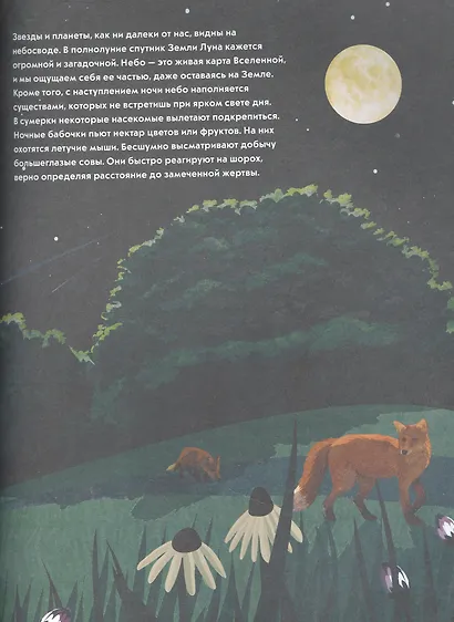 Посмотри на небо! Энциклопедия дневного и ночного неба / Ночного и дневного неба - фото 5