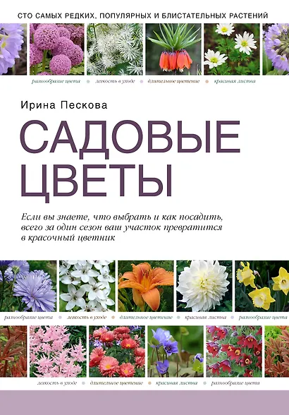 Садовые цветы - фото 1