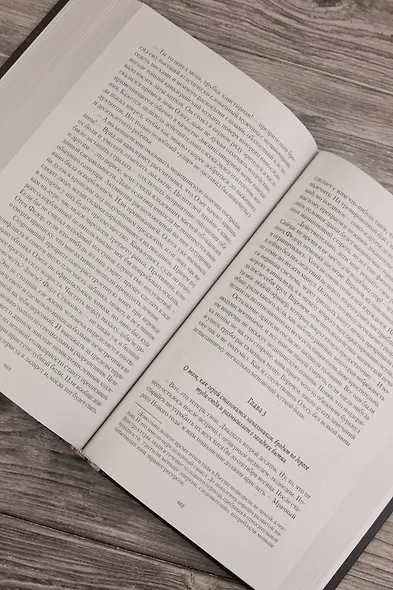 Ведьмак двадцать третьего века - фото 10